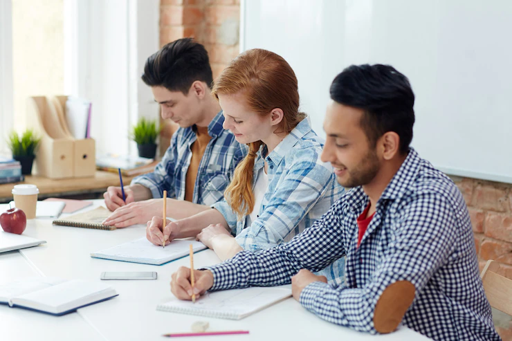 Study Abroad Consultant