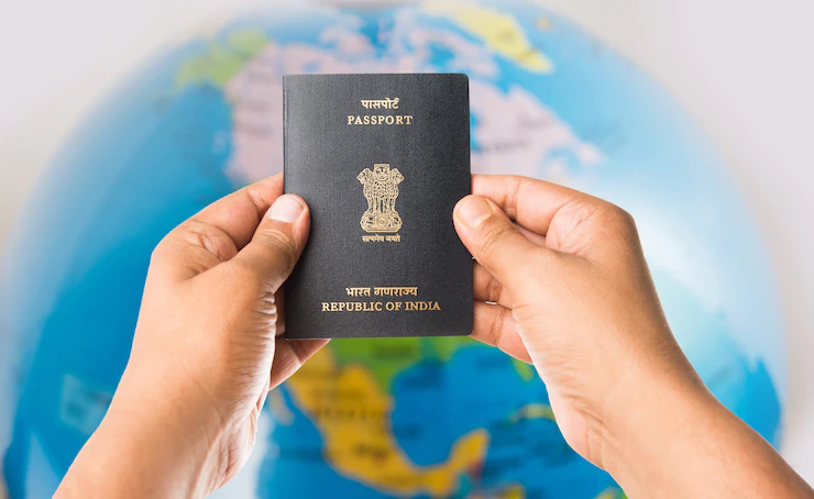 Immigration Consultant